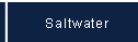 Saltwater Pumps